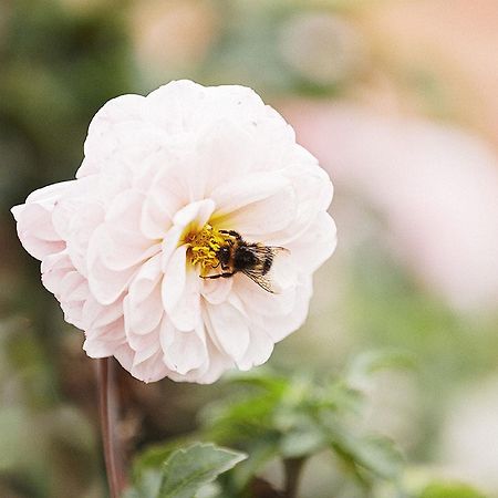 Gasthaus Hummel Duggendorf 외부 사진